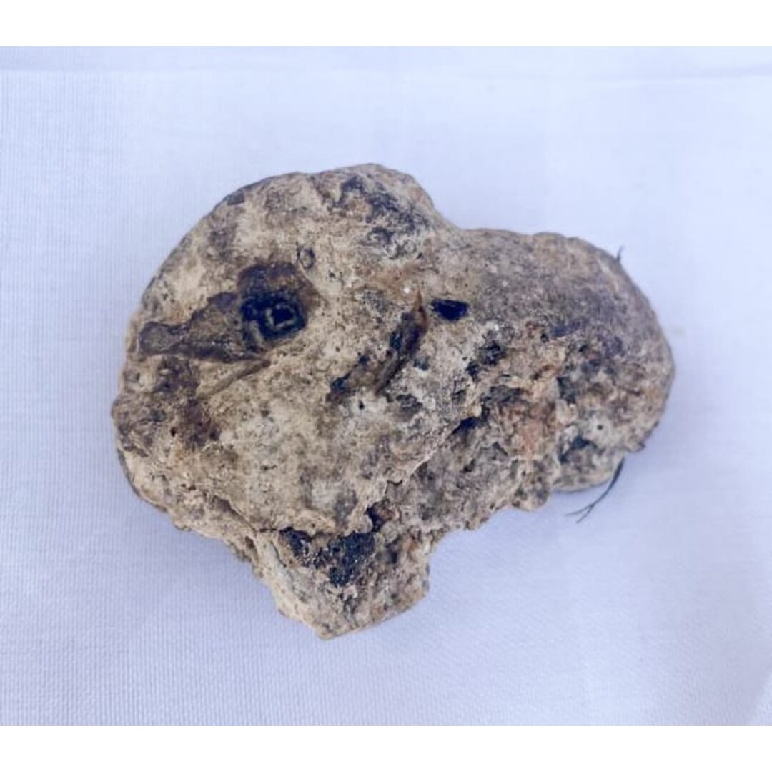 Ambergris, Sperm Whale Organic Material, Perfume Making Spermaceti