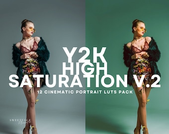 12 Y2K Luts V.2 per Capcut, Luts video, Luts fotografici, Luts per la correzione del colore, Luts per l'aspetto cinematografico, Luts professionali, Luts cinematografiche, Luts CapCut