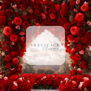 Red Roses Valentine&#39;s Day Digital Backdrop, Maternity Backdrops, Wedding Backdrops, Valentine&#39;s Backdrops, Party Backdrops,PNG Backdrops