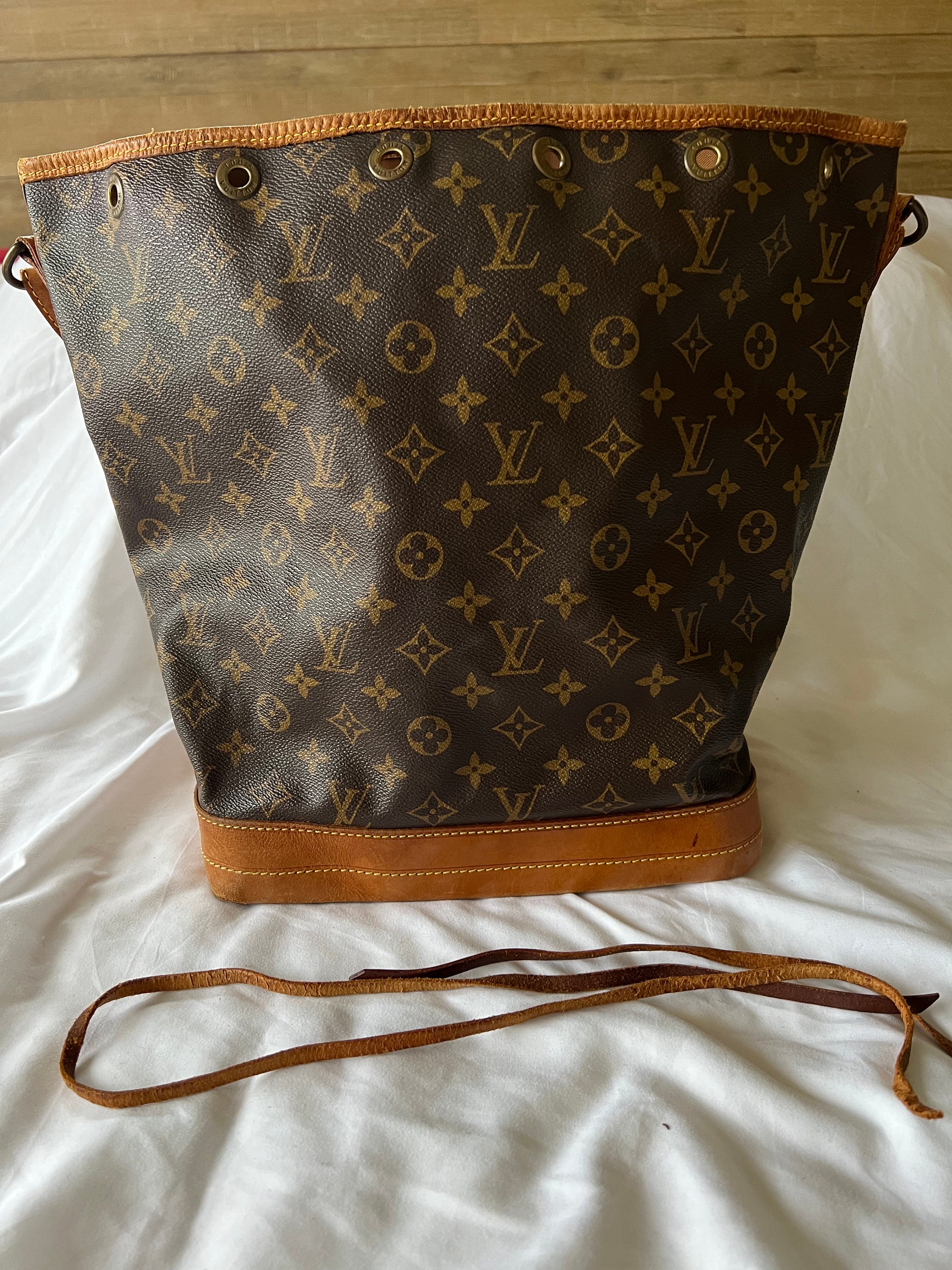 CUSTOM PAINTED LOUIS VUITTON GM MONOGRAM BUCKET BAG