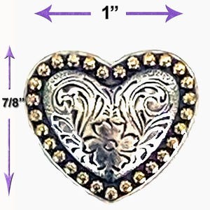 6 PCS Western Heart Berry Edge Antique Silver and Gold screwback Concho NEW