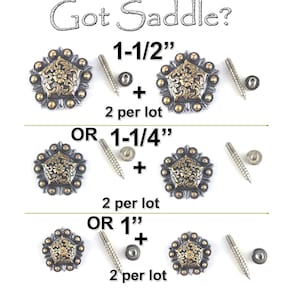 Antique Silver Gold Conchos: Pentagon Berry Floral Design, Lot of 2 each-3 Sizes