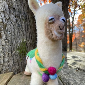 Larry Llama