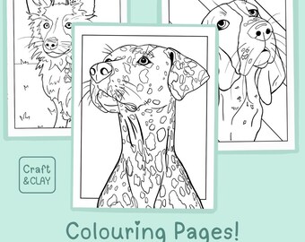 May include: Three black and white line art dog coloring pages. The central image features a Dalmatian with spots. The other two pages show a fox-like dog and a dog with long ears. The text "Craft & Clay" and "Colouring Pages! Digital download" are also visible.