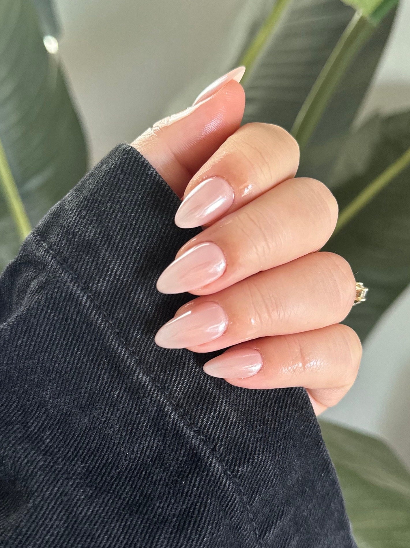EVER NAIL エバーネイル Glass French Nude 【公式通販】