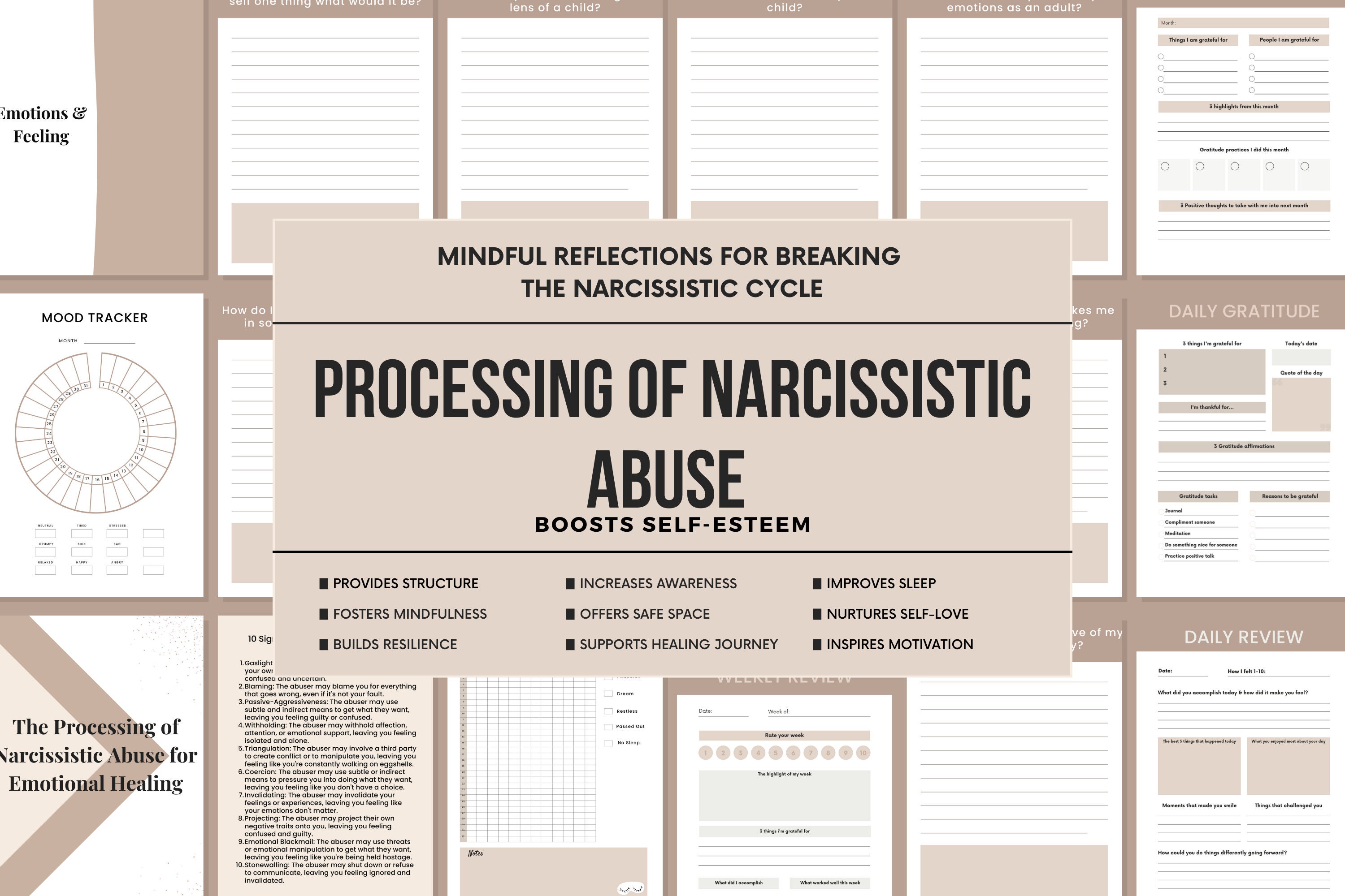 Breaking the Cycle of Narcissistic Abuse A Journal for Women Ready to