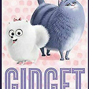 May include: A white fluffy dog with a pink bow and a gray cat with a pink background. The text "Gidget and Chloe" is below the image.