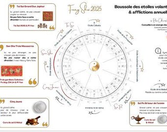 FENG SHUI 2025 - Printable Flying Stars and Annual Afflictions Synthesis - Practical Tool