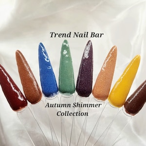Autumn Collection- Shimmer Acrylic Dip Powder, Dipping Nail Powder, Nail Dip Powder, Fall Dip Powder, Dip Powder For Nails, Acrylic Powder