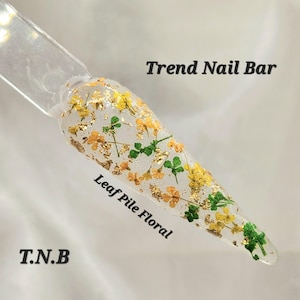 May include: A clear, almond-shaped nail swatch stick featuring embedded yellow dried flowers, green leaves, and gold foil flakes. The text Trend Nail Bar, Leaf Pile Floral, and T.N.B are printed on the image. The nail tip is pointed and translucent.