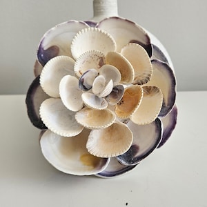 Peut inclure: Un objet décoratif composé d'un amas de coquillages superposés disposés en un motif circulaire rappelant une fleur. Les coquillages présentent un dégradé de couleurs, allant du blanc crème et beige au violet profond et brun foncé sur les bords.