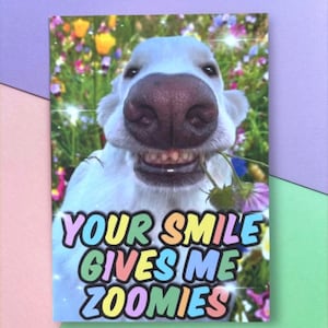 Postkarte „Your smile gives me zoomies“