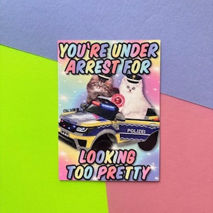 Magnet „You‘re under arrest for looking too pretty“