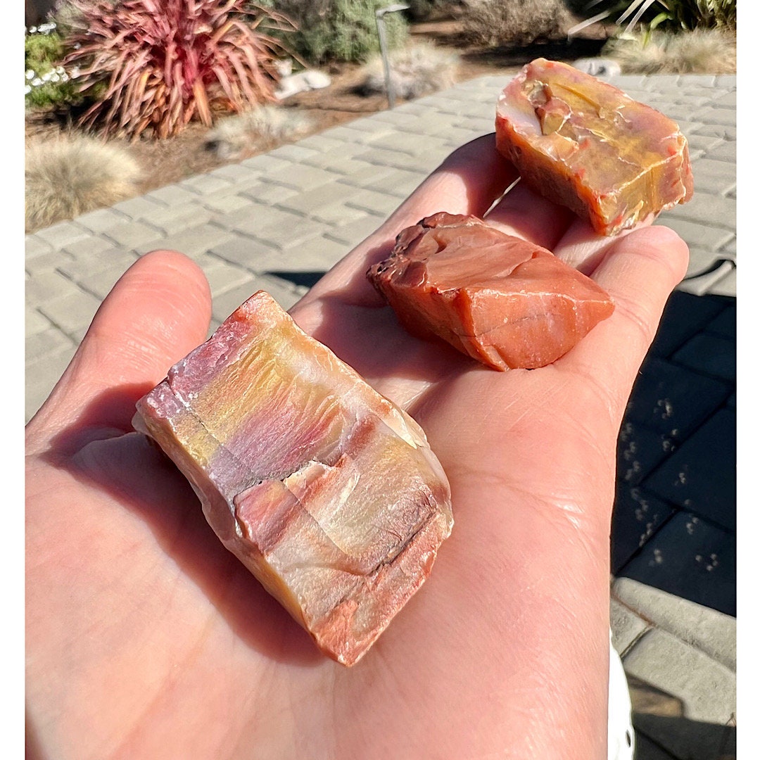 A Grounding Stone Legally Collected in Arizona Museum and Collector's