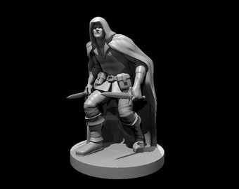 Rogue with Cloak and Daggers Miniature