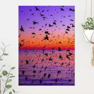 Elegant Starlings - Atmospheric Wall Art