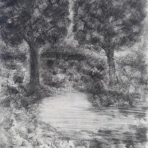 Square Trees