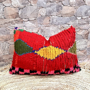 Vintage Moroccan berber boujaad pillow