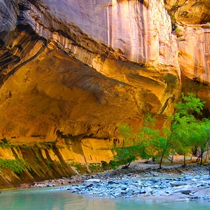 Virgin River Narrows, Zion National Park, Utah Photo Print