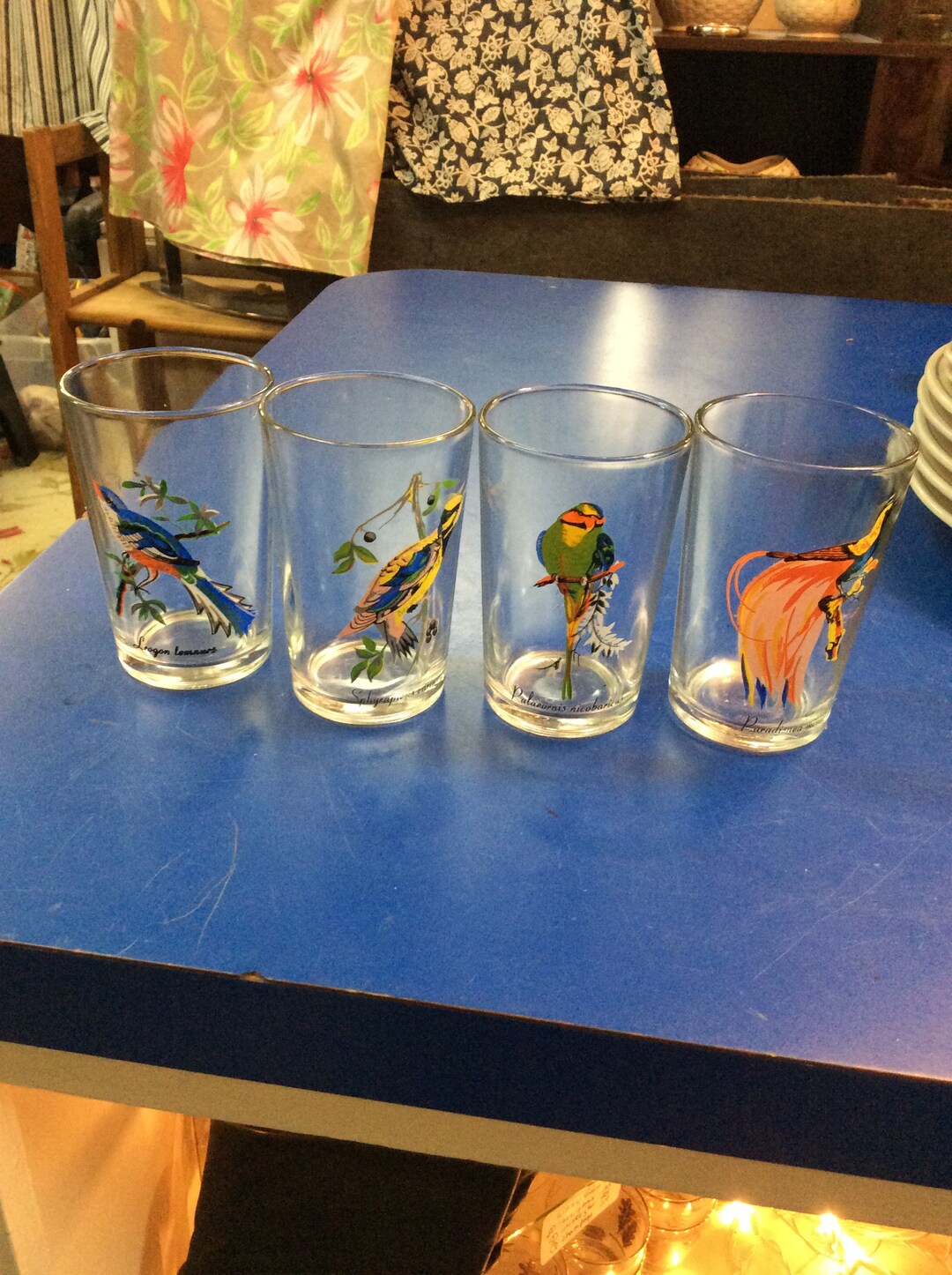 Vintage VMC Bird Glasses Excellent Condition Etsy