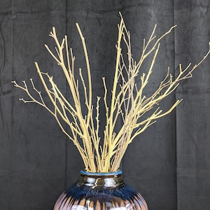 15 Natural Branches / Stems / Twigs (12&quot; to 24&quot;) for Vase Display / Vase Filler / Vase Bouquet with FREE SHIPPING!