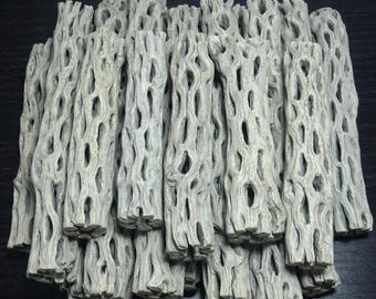 20 LARGE 6 inch CHOLLA Wood Cactus Pieces, Aquarium Wood Decor, Aquarium Woods, Aquascaping and Fish Tanks, Aquarium Driftwood