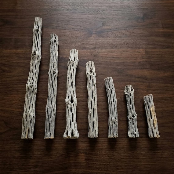 All Size CHOLLA Wood Cactus Pieces, Aquarium Wood Decor, Aquarium Woods, Aquascaping and Fish Tanks, Aquarium Driftwood