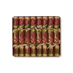 Respectueux de l'environnement, Waratah 12", boîte de 8 | Craquelins bonbon