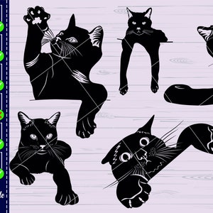 Op de afbeelding: Vijf zwarte katten silhouetten in verschillende poses. De katten kijken allemaal in verschillende richtingen en hebben verschillende uitdrukkingen. De silhouetten zijn op een witte achtergrond.