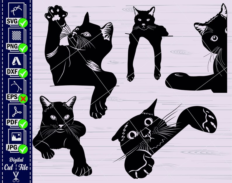 Op de afbeelding: Vijf zwarte katten silhouetten in verschillende poses. De katten kijken allemaal in verschillende richtingen en hebben verschillende uitdrukkingen. De silhouetten zijn op een witte achtergrond.