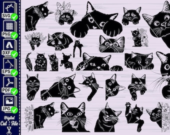 Könnte beinhalten: Eine Sammlung von 25 schwarzen Katzensilhouetten-Illustrationen. Die Katzen sind in verschiedenen Posen, darunter sitzend, stehend, liegend und nach oben blickend. Einige der Katzen sind von Blumen umgeben.