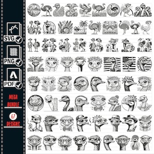 BLUMEN Strauß SVG Png Mega Bundle, Strauß Vogel Strauß Illustration, Strauß Vogel Strauß Illustration, digitaler Stempel Strauß Strauß Emu Strauß PNG kommerzieller Vektor