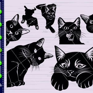 Op de afbeelding: Een digitaal snijbestand met vijf zwarte katten silhouetten in verschillende poses. De katten zijn afgebeeld in een eenvoudig, gestileerd ontwerp, met hun kenmerken in zwart gemarkeerd.