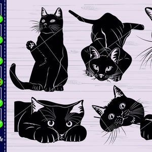 Op de afbeelding: Een digitaal snijbestand met vijf zwarte katten-silhouetten in verschillende poses. De katten kijken allemaal in verschillende richtingen en hebben verschillende uitdrukkingen. Het bestand is perfect voor het maken van knutselwerk, stickers en andere projecten.