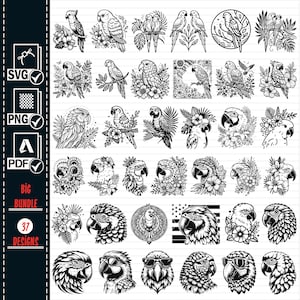 PARROT SVG Png Big Bundle, Floral Parrot svg, Parrot Clipart, Parrot silhouette, Parrot cut file, Vector,  Bird svg, Tropical Clipart, Pdf