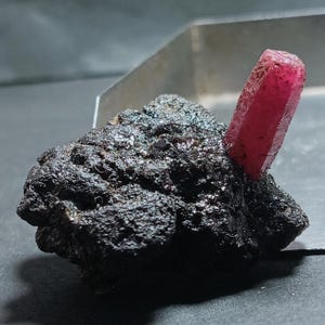 May include: A raw, dark, textured mineral matrix featuring a single, elongated, vibrant pinkish-red crystal protruding from its surface. The specimen displays a stark contrast between the rough, matte black base and the smooth, vertical crystal.
