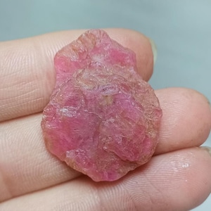 Op de afbeelding: Een ruwe roze robijn edelsteen met een unieke, onregelmatige vorm. De robijn heeft een doorschijnende uitstraling en vertoont natuurlijke strepen.