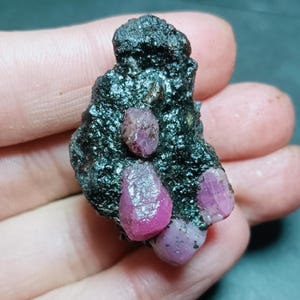 May include: A dark, textured rock formation with several vibrant, pinkish-red ruby crystals embedded within. The rubies vary in size and shape, showcasing natural geological beauty.