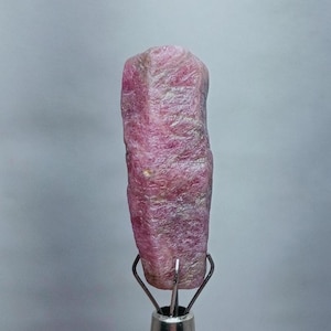 Pode incluir: Uma gema de rubi rosa bruta com uma superfície estriada. O rubi está montado em um suporte de metal.
