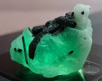 May include: A raw emerald gemstone with a vibrant green hue, accented by dark black mineral inclusions. The rough-cut stone has a natural, unpolished appearance, showcasing its crystalline structure. The emerald is illuminated, highlighting its color and texture.