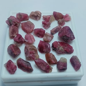 May include: A collection of pink and red tourmaline rough crystals in various shapes and sizes. The crystals are displayed in a white box.