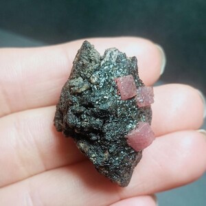 Peut inclure: Une petite roche gris foncé avec deux cristaux roses incrustés. Les cristaux sont de forme carrée et ont une apparence translucide.