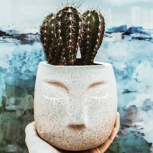 Jarrones, jarrón facial, rostro, macetero de cabeza, macetero facial, jarrón decorativo estilo boho y nórdico, macetero de hormigón, idea de regalo para él para ella