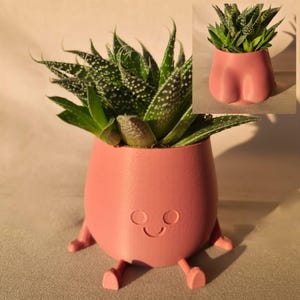 Op de afbeelding: Een roze keramische plantenpot in de vorm van een persoon met benen en een glimlachend gezicht. De pot bevat een kleine groene succulent.