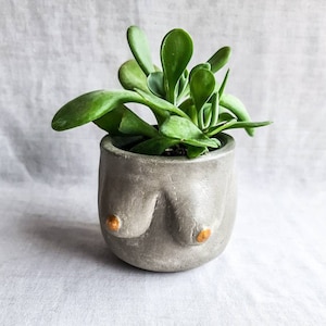 tittie pot, woman body vase boob planter body positivity naked woman sexy nipples plants flowers gift for her for him alternative home decor