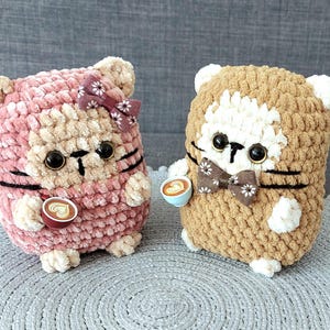 Katze für Kaffeeliebhaber Katzenpaar 2