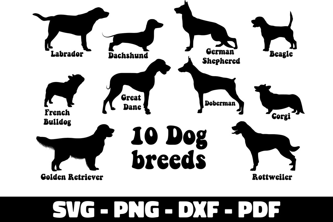 10 Dog Breeds Silhouette Svg, Dog Silhouette Svg, Dog Silhouette Print ...