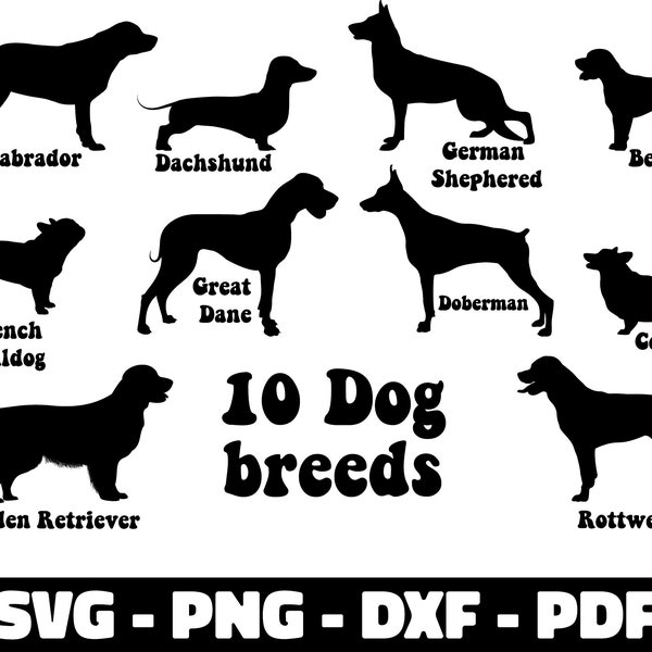 10 Dog breeds Silhouette Svg, dog silhouette svg, dog silhouette print, dog silhouette bundle, Dog svg, png, dxf, Dogs silhouette cricut