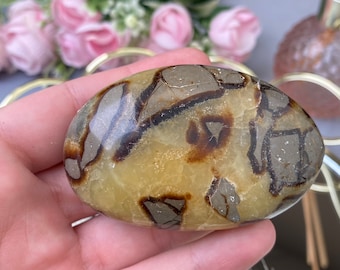 Piedra de palma septaria Maroca natural 144g., Piedra de dragón de alta calidad, nódulo septario, piedra caída, forma pulida, cristal curativo