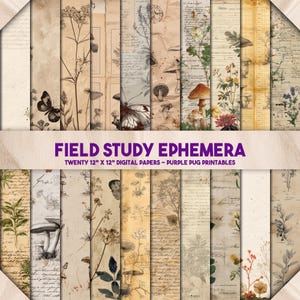 May include: A collection of twenty 12 x 12 inch digital papers with a vintage aesthetic. The papers feature botanical illustrations of butterflies, mushrooms, and flowers, with handwritten script and aged textures. The text "FIELD STUDY EPHEMERA" is displayed.